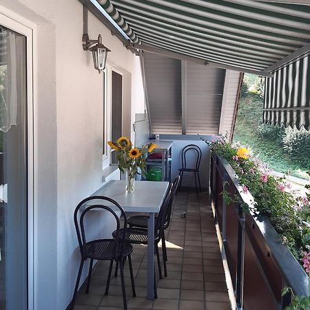 Ferienwohnung Am Geissberg Kleines Wiesental Exterior foto