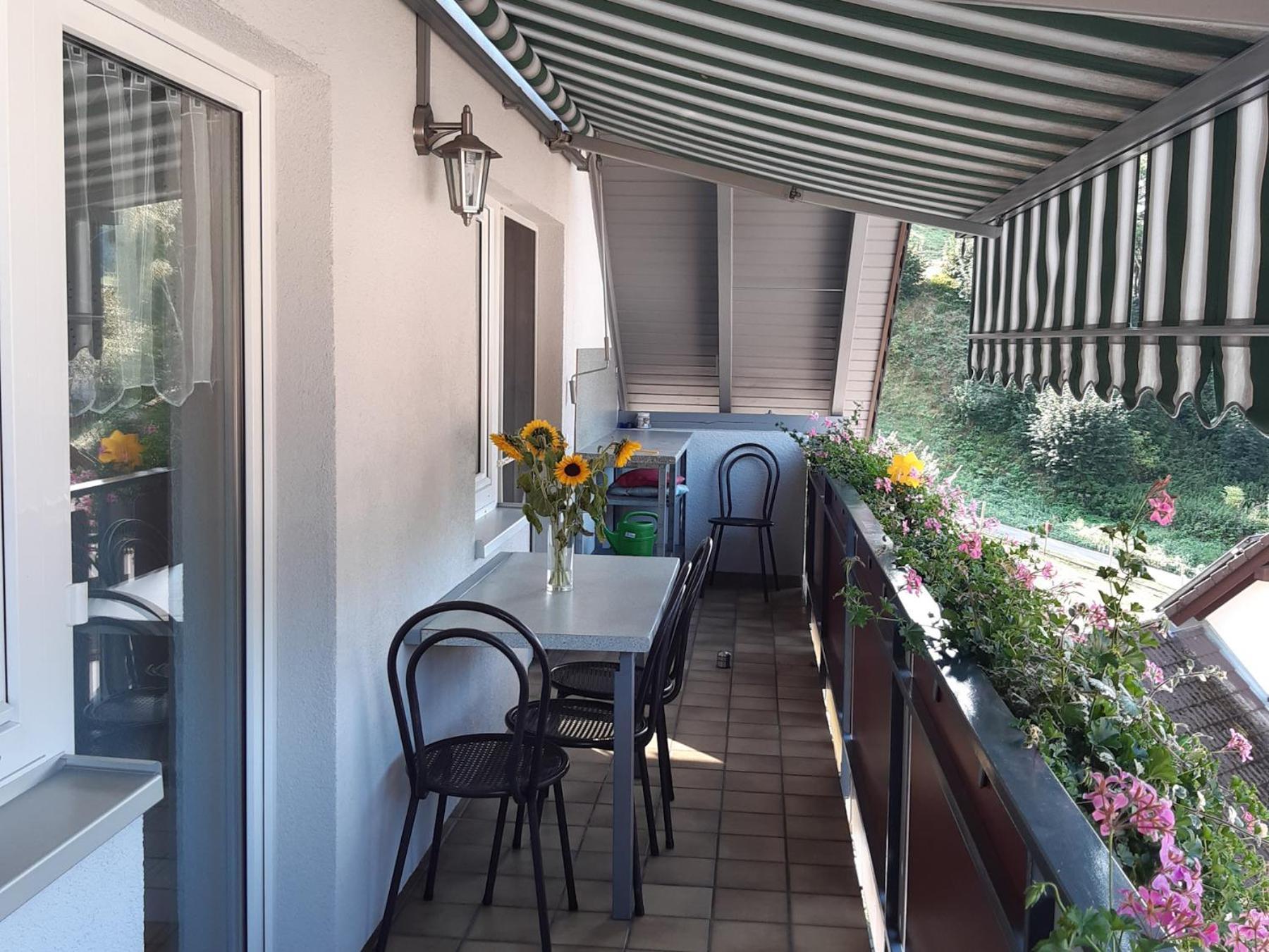 Ferienwohnung Am Geissberg Kleines Wiesental Exterior foto